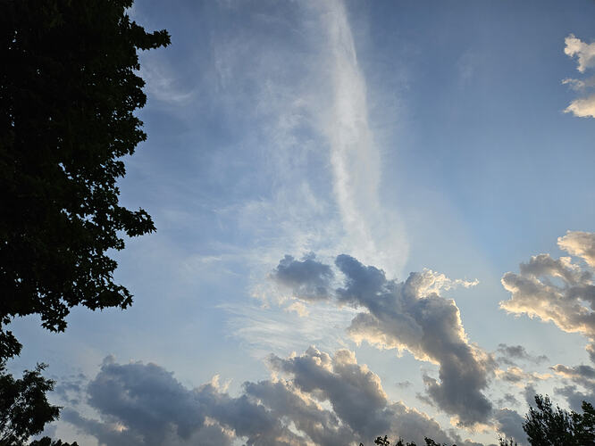 20260701_062319