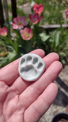 IMG_20260412_123029301_HDR