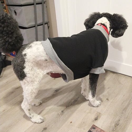 IMG_20251107_191817852