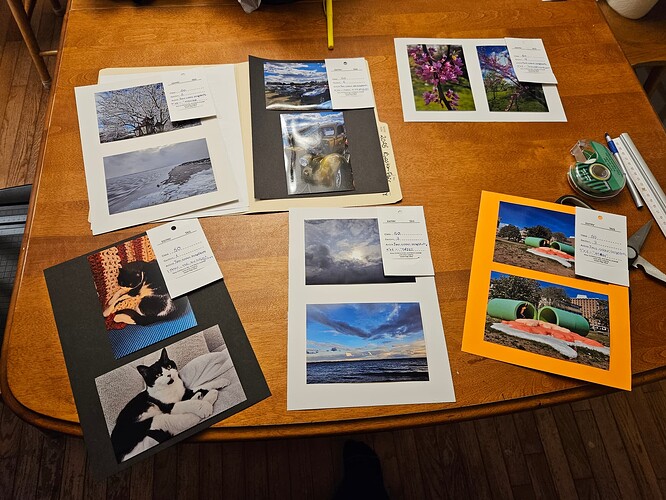 20250911_Fall Fair Projects (2)