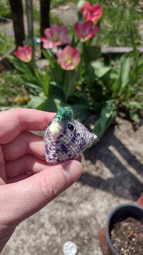 IMG_20260412_123020943_HDR