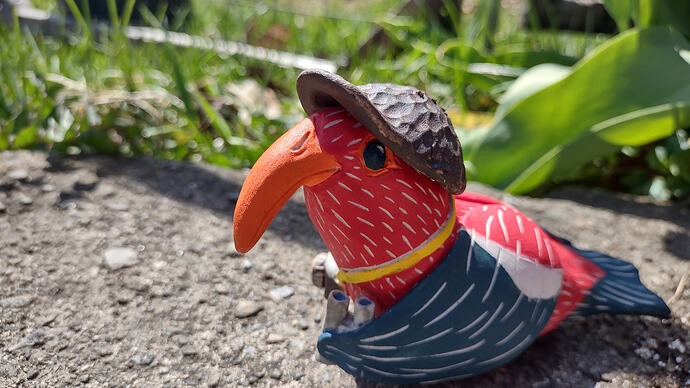 IMG_20260412_122950141_HDR