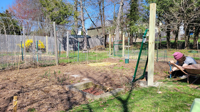 Garden 2026 Fence Build 1