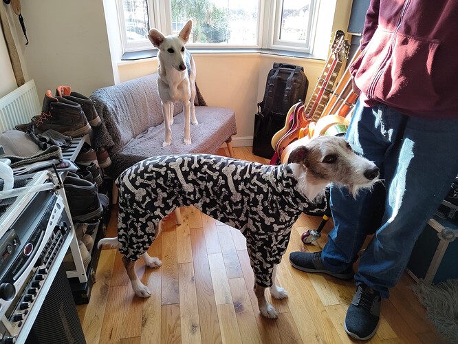 Atlas showing off his pjs to Arwen