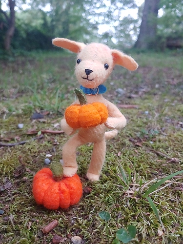 Sunny with Pumpkins