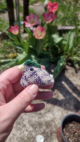 IMG_20260412_123023223_HDR