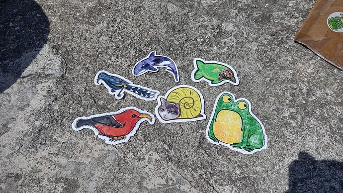 IMG_20260412_122836657_HDR