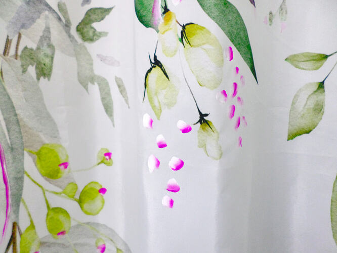Shower Curtaina
