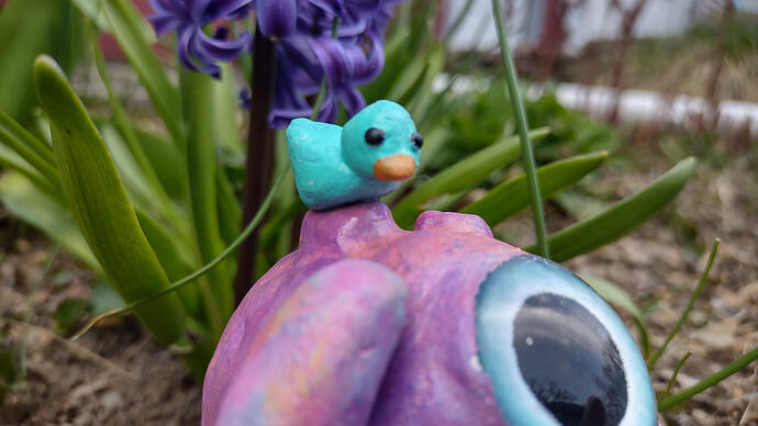 IMG_20260410_184759415_HDR