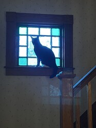 IMG_7513