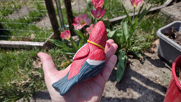 IMG_20260412_122921716_HDR