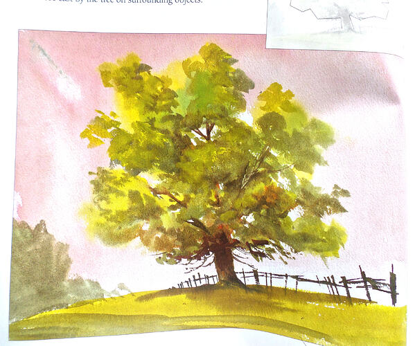 Watercolor Bookb