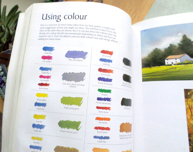 Watercolor Bookd