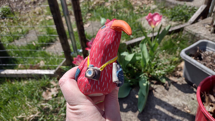 IMG_20260412_122916436_HDR