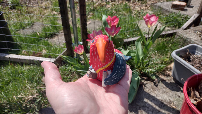 IMG_20260412_122902395_HDR