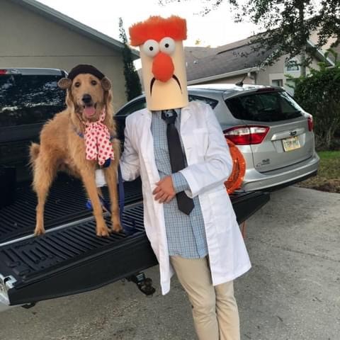 muppet 1