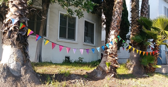 .Bunting 1