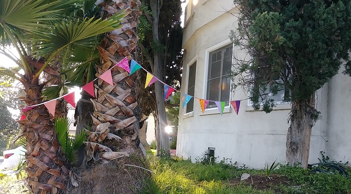 .Bunting 3