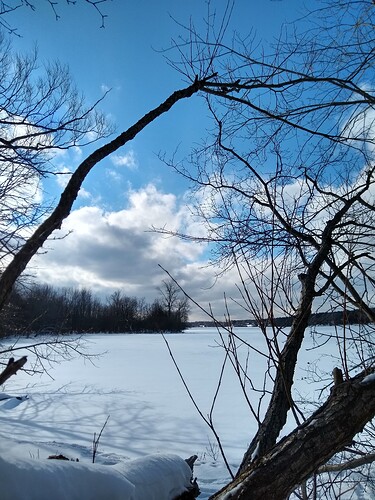 IMG_20260118_121818265_HDR