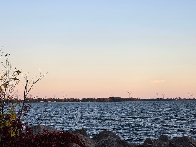 A picture of a lake wirh rocks int he foreground and trees and windmills in the background, set against a pink and blue sky.