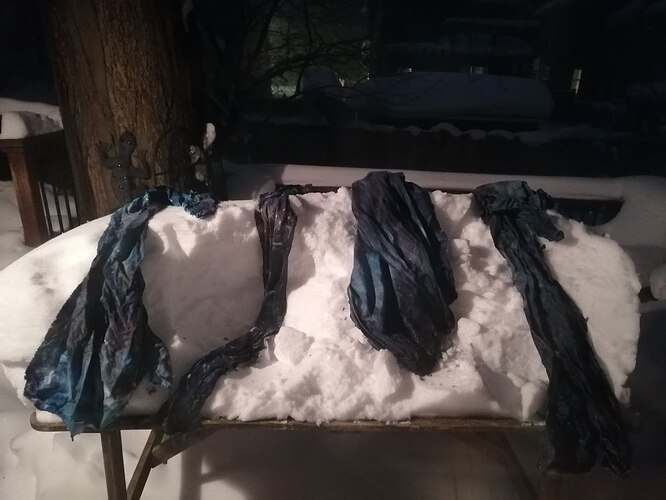 IMG_20260204_110716_376