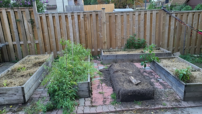 yard