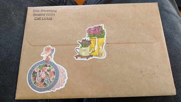 IMG_20230210_145340730_1