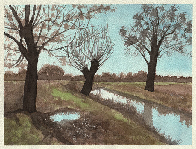 BeaG-AQ-2026-05-Landscape-01-kl
