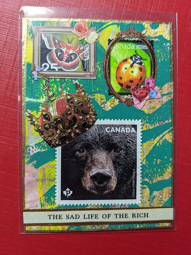 PXL_20210518_014459842