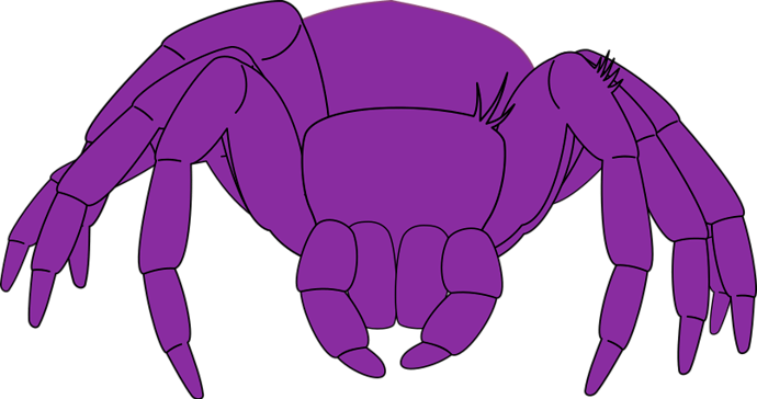 spider-002