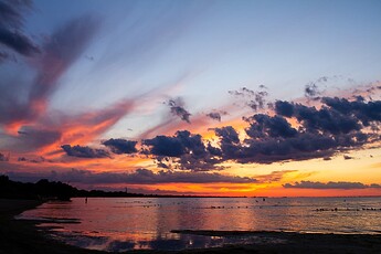 IMG_8575
