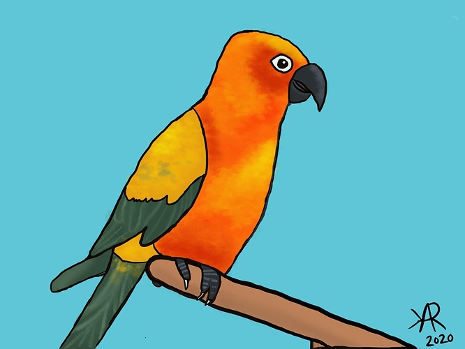 Conure_With_Shape_Method_