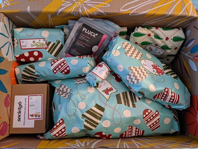 PXL_20211213_172028208