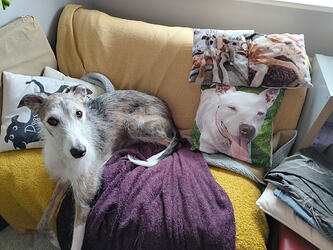 IMG_20260303_141245877