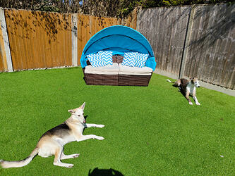 IMG_20250410_125951200