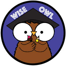 Wise Owl Badge-01