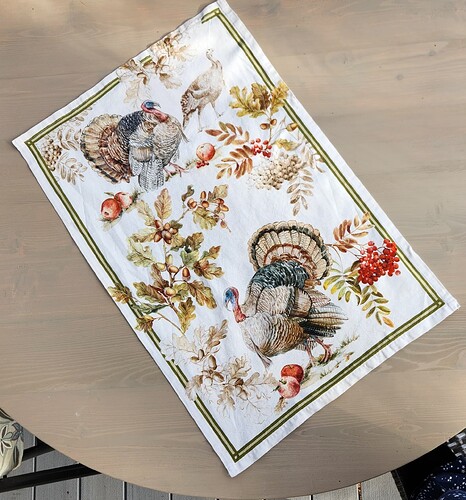 2025KitchenTowelKits03