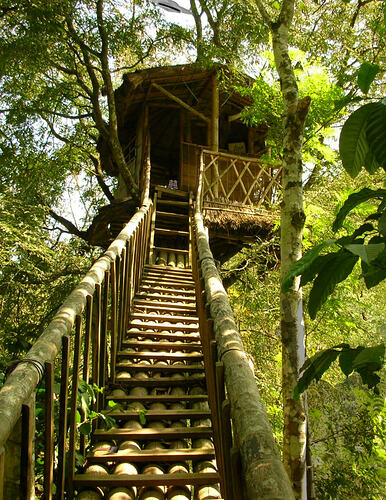 ranger tree office