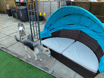 IMG_20250408_191601501