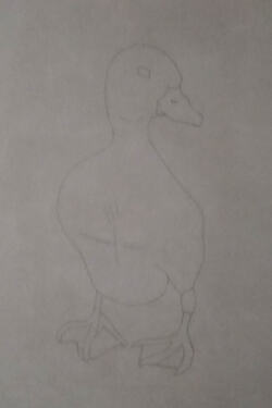 2026-07-Duckling-01-02-03