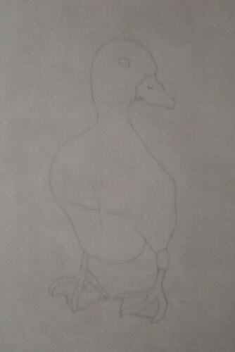 2026-07-Duckling-01-02-03