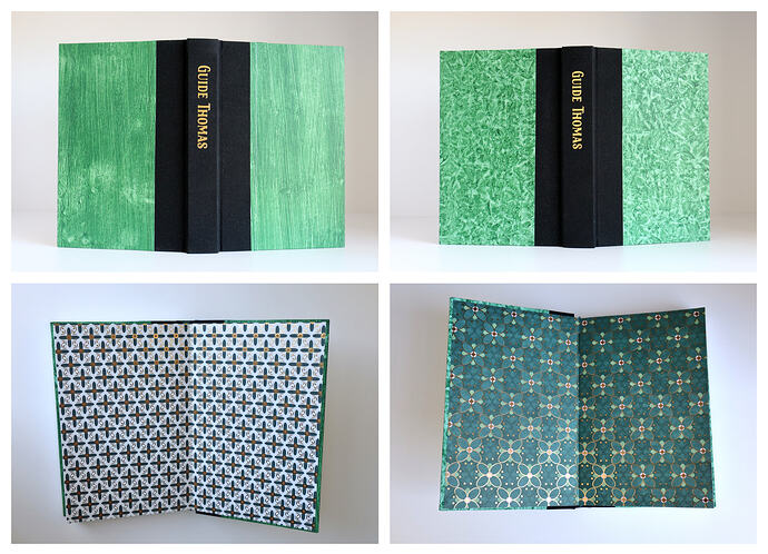 Guide Thomas Full Covers
