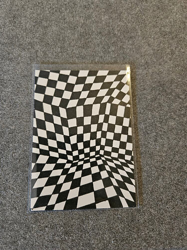 1000013731