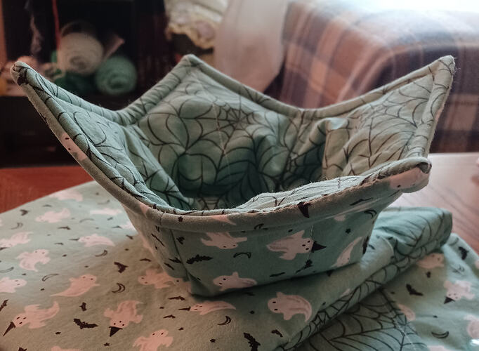 Ghost Bowl Cozy