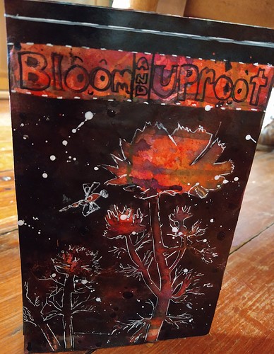 IMG_20210517_103217678~2