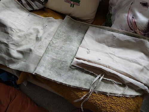 IMG_20240619_123018173