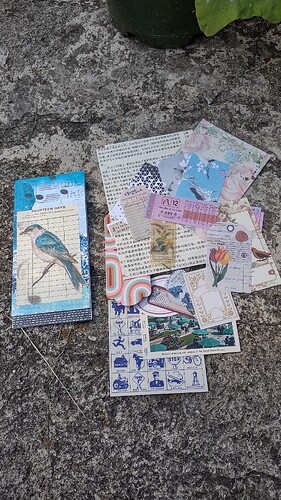 IMG_20250913_100230236_HDR