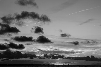 IMG_8756