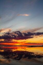 IMG_8559