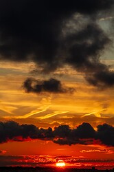 IMG_8737